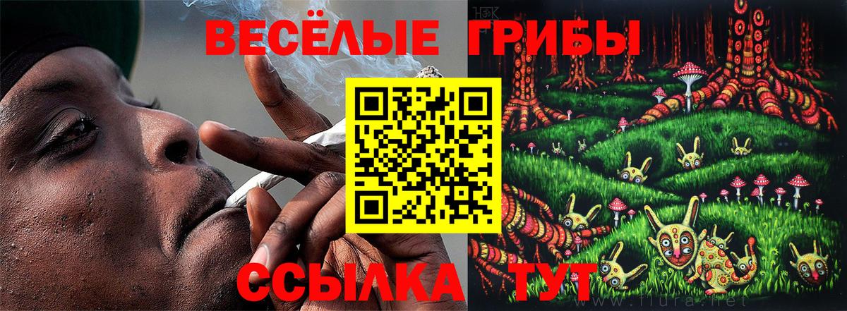 Галлюциногенные грибы Psilocybine cubensis Кстово